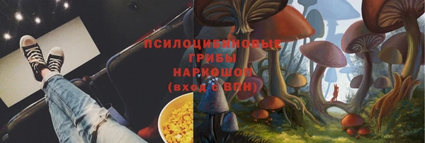 крисы Нягань