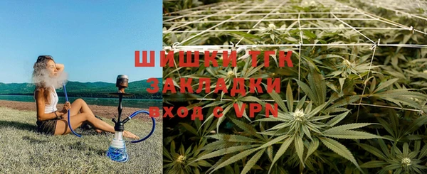 крисы Нягань