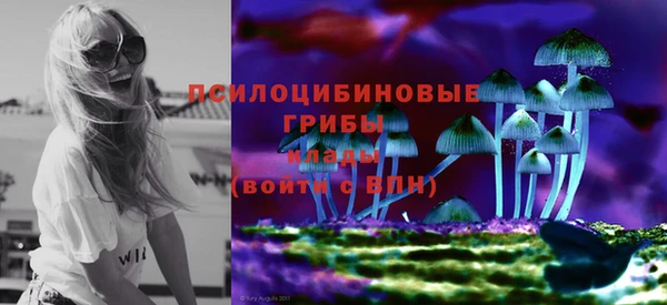 крисы Нягань