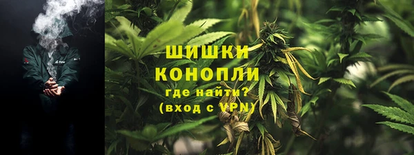 крисы Нягань