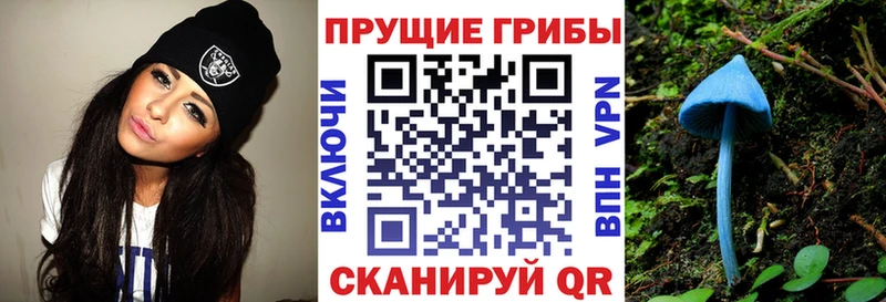 Галлюциногенные грибы MAGIC MUSHROOMS ссылка на мегу ССЫЛКА Ступино